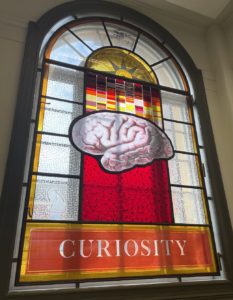 Stained glass window: Curiosity